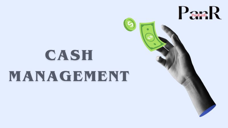 Cash Management: Navigating Financial Waters