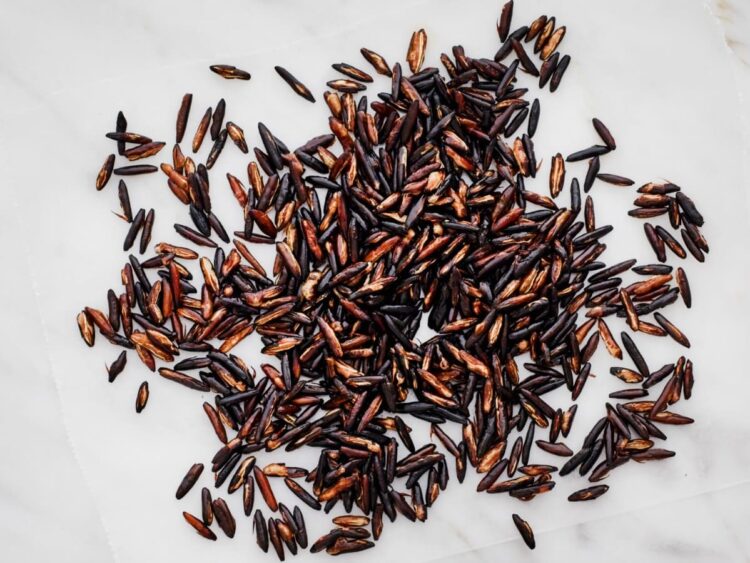 What is wild rice?