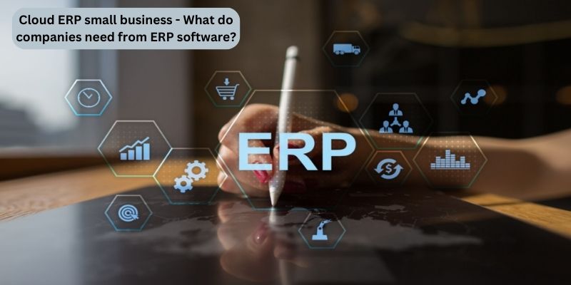 Cloud ERP small business - What do companies need from ERP software?