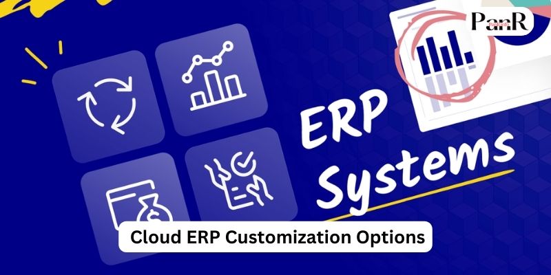 Cloud ERP Customization Options