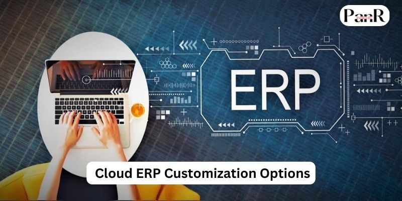 Cloud ERP Customization Options